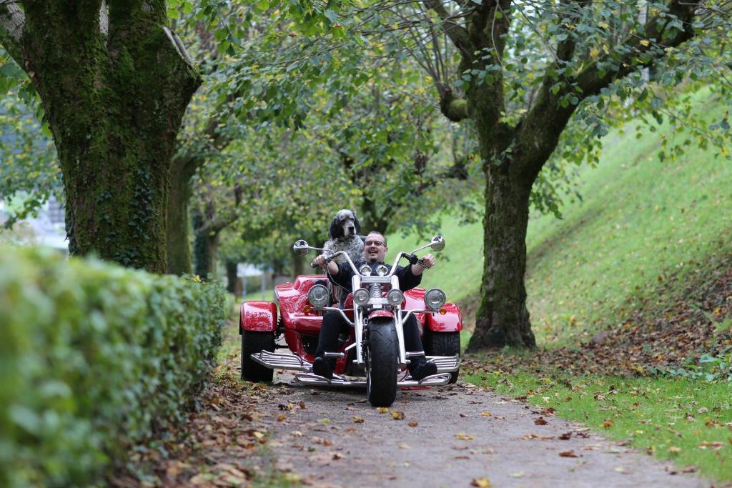 ホテル ヒルシュ バート・ペーターシュタル・グリースバッハ エクステリア 写真